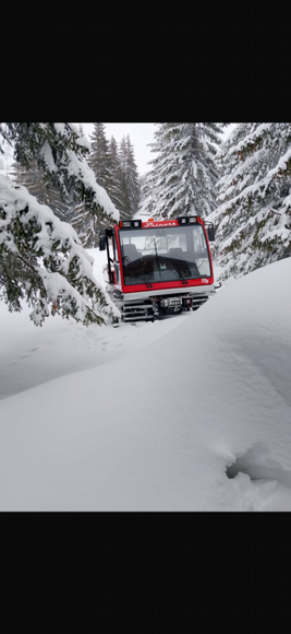 Prinoth T2S