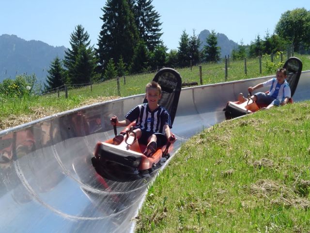 Wiegand Sommerrodelbahn