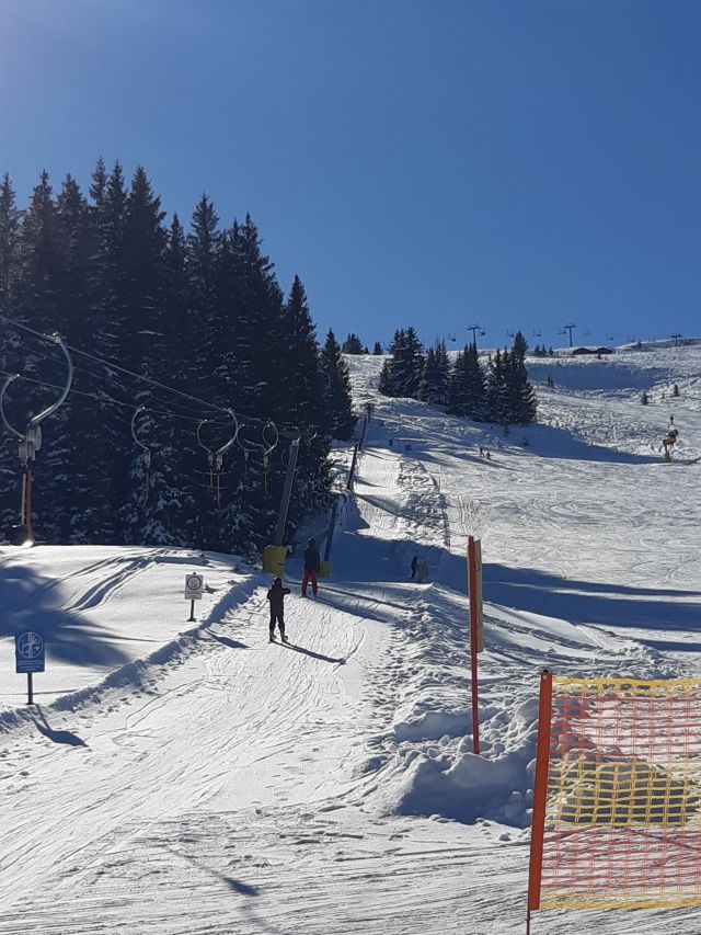 Tellerlift Doppelmayr