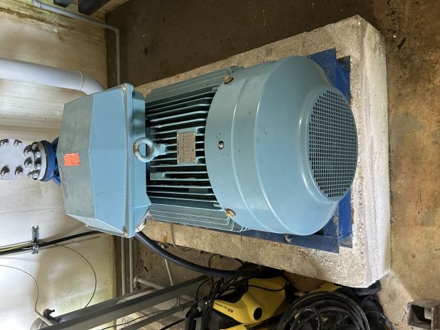 Vogel Pumpen 2 Stück