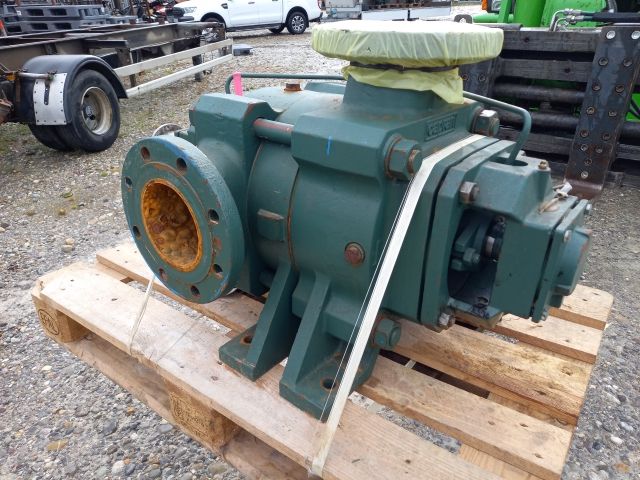 Caprari PMST Wasserpumpe